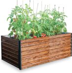 Top 10 Der Besten Hochbeete 2026