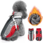 Top 10 Der Besten Hundemäntel 2026